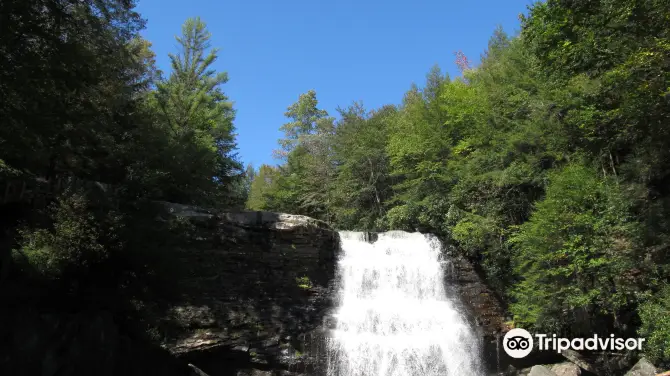 3_Swallow Falls State Park