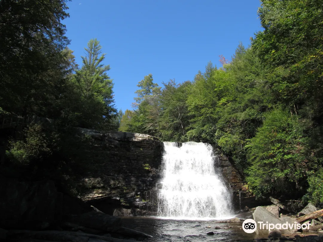 3_Swallow Falls State Park