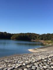 Sayama Lake