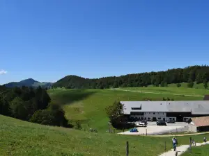 Seilbahn Weissenstein