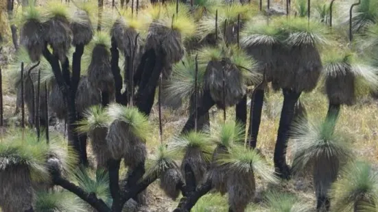 Crawney Pass National Park