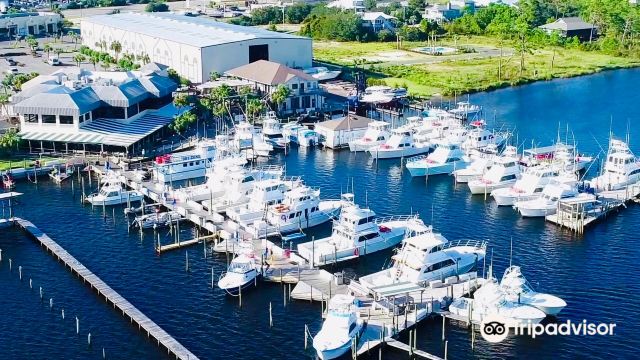 Orange Beach