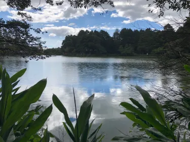 波阿斯