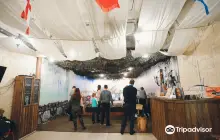 Арбалетно-лучный тир "Шервуд"