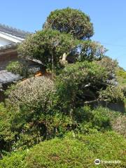 Tooriyamashi Garden
