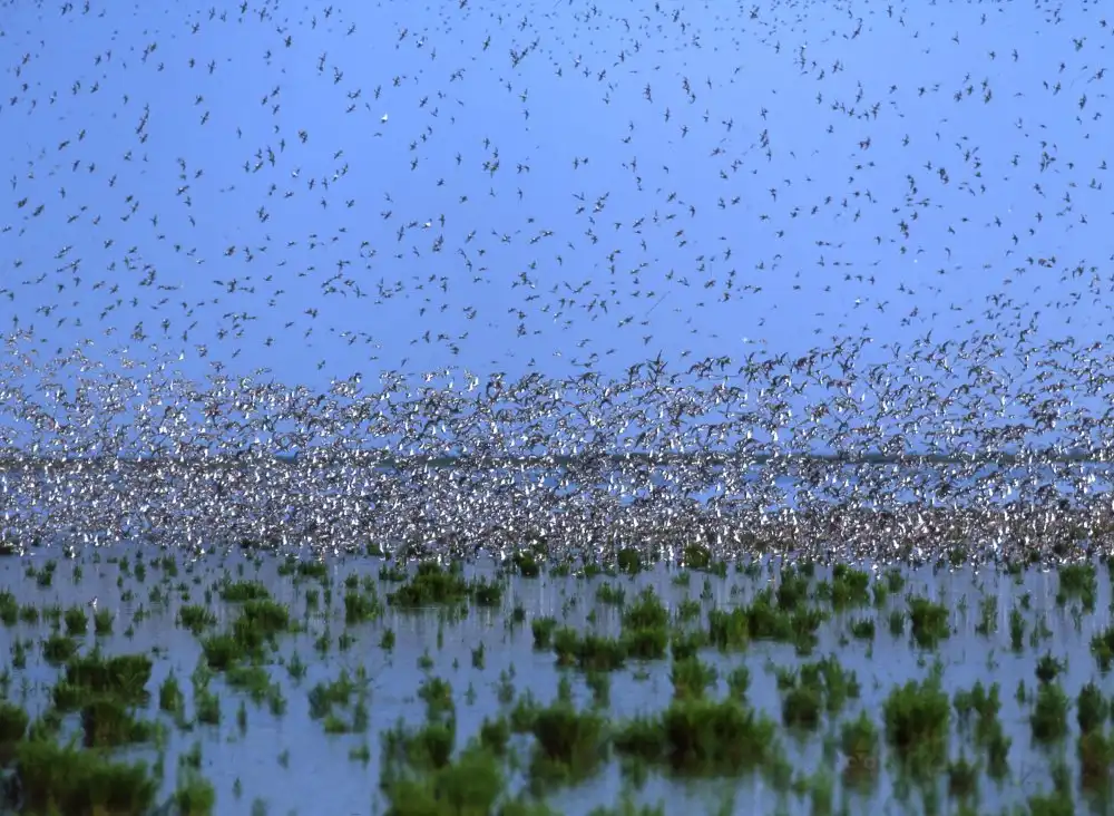 Hotels near Parc national de la mer des Wadden de Basse-Saxe