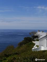 Dzogchen Beara Daily Meditation Classes