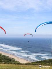 Dolphin Paragliding