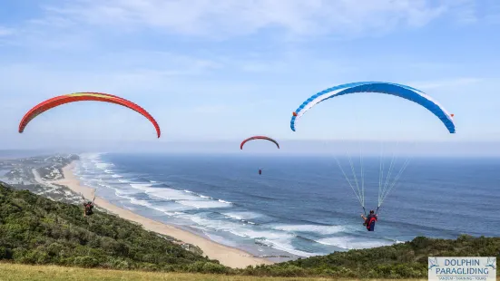 Dolphin Paragliding