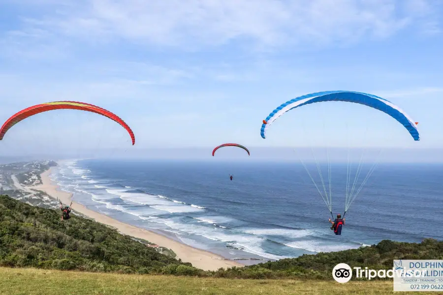 Dolphin Paragliding