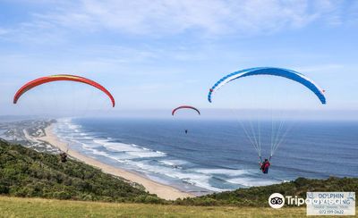 Dolphin Paragliding Tandem Flights