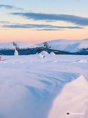 Pallas-Yllästunturi National Park