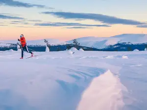 Parco nazionale di Pallas-Yllästunturi