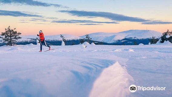 Pallas-Yllästunturi National Park