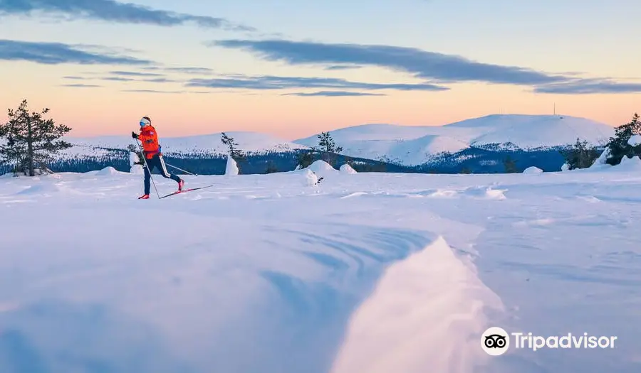 Pallas-Yllästunturi National Park