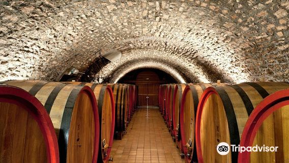 Marano di Valpolicella
