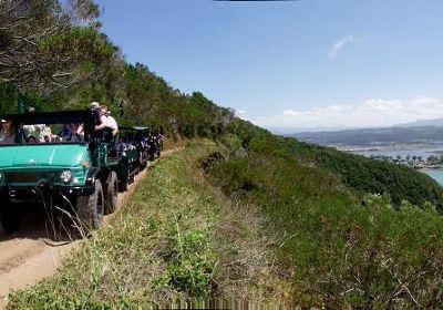 Featherbed Private Nature Reserve