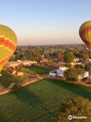 Sky Waltz Balloon Safari