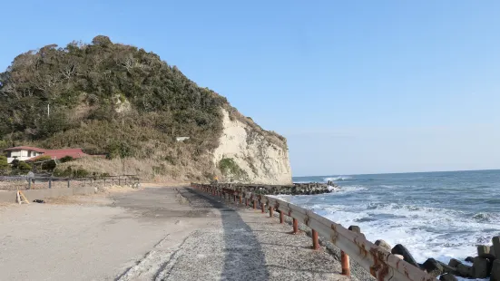 太東海浜植物群落地