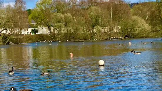 Etherow Country Park