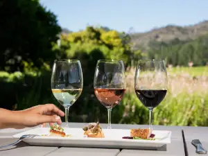 St. Francis Winery & Vineyards