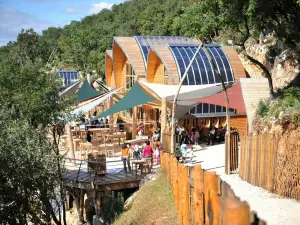 Grotte de la Salamandre