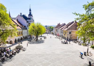 Novo Mesto