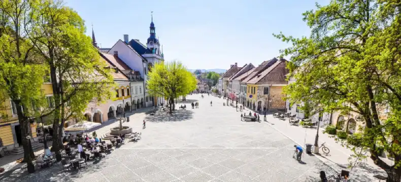 Hotels in Novo Mesto