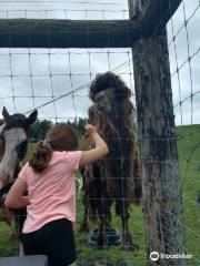 Critter Country Animal Farm