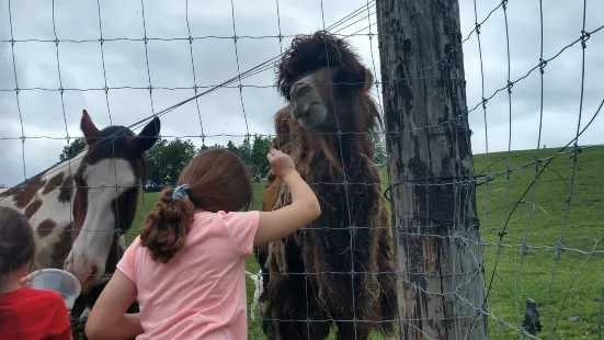 Critter Country Animal Farm