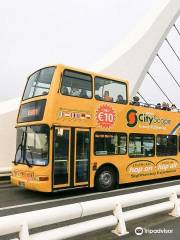 Dublin CityScape Luxury Sightseeing