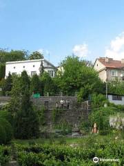 Giardino Botanico dell'Università Nazionale di Užhorod
