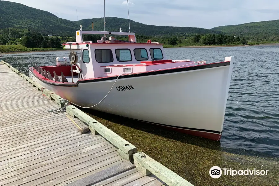 Oshan Whale Watch