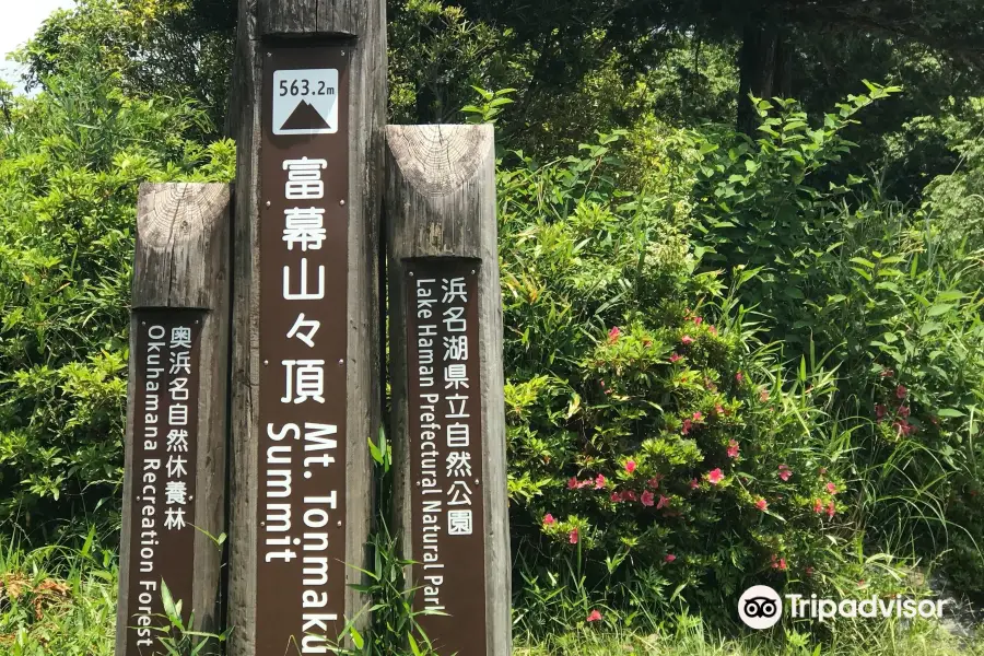 Mt. Tommaku