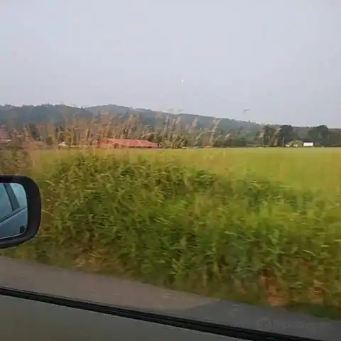 Hotels near Sakuma Brothers Farm