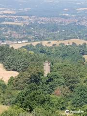 Clent Hills