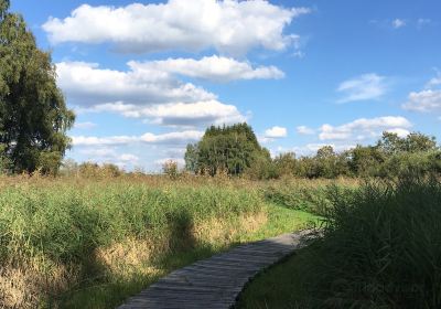 Jettingen-Scheppach