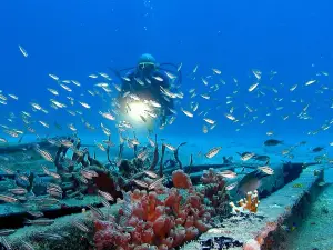 Island Diving, St-Barth Plongée Birdy Dive