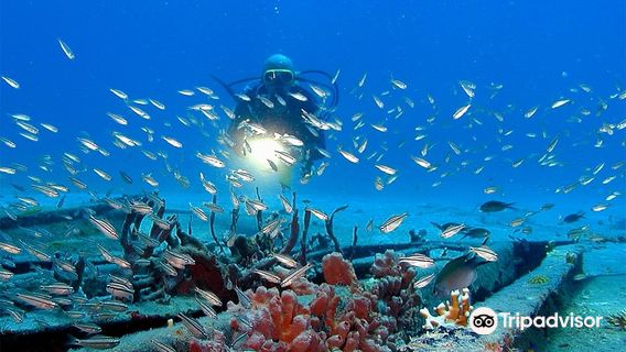 Island Diving (St-Barth Plongée Birdy Dive)