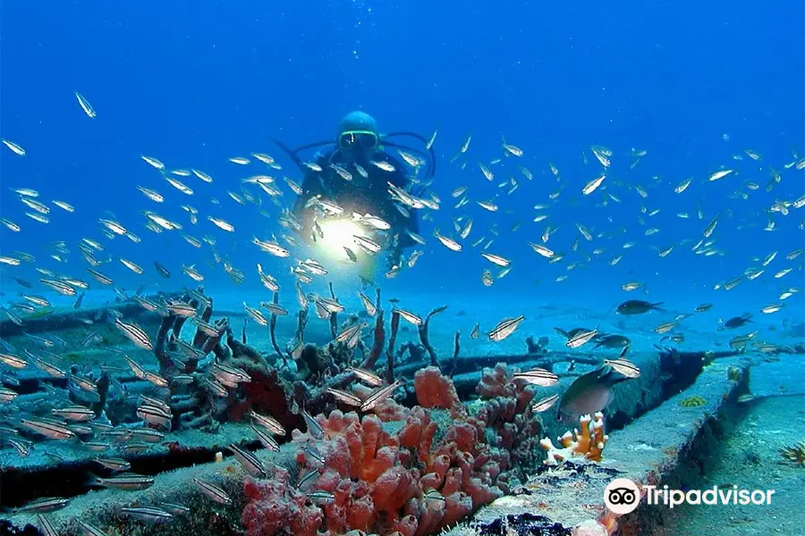 St-Barth Plongee - Birdy Dive Center