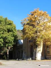 Pushkin Baths