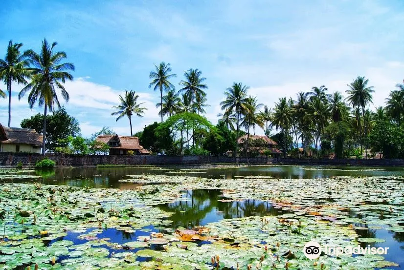 2_Lotus Lagoon