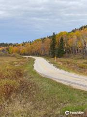 McGillivray Falls Self-guiding Trail