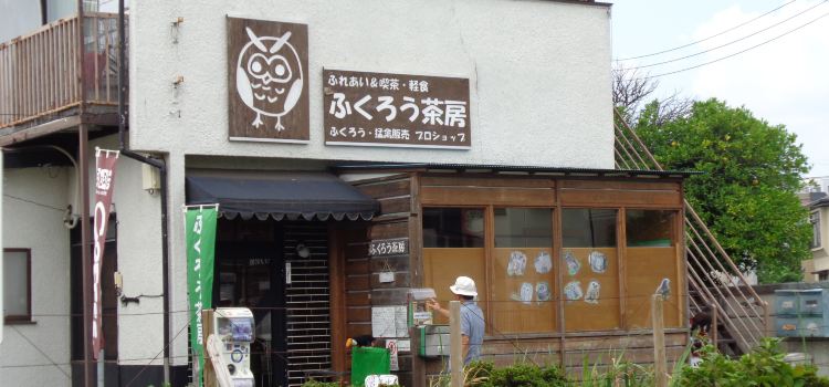 Fukurō Sabō Owl Cafe