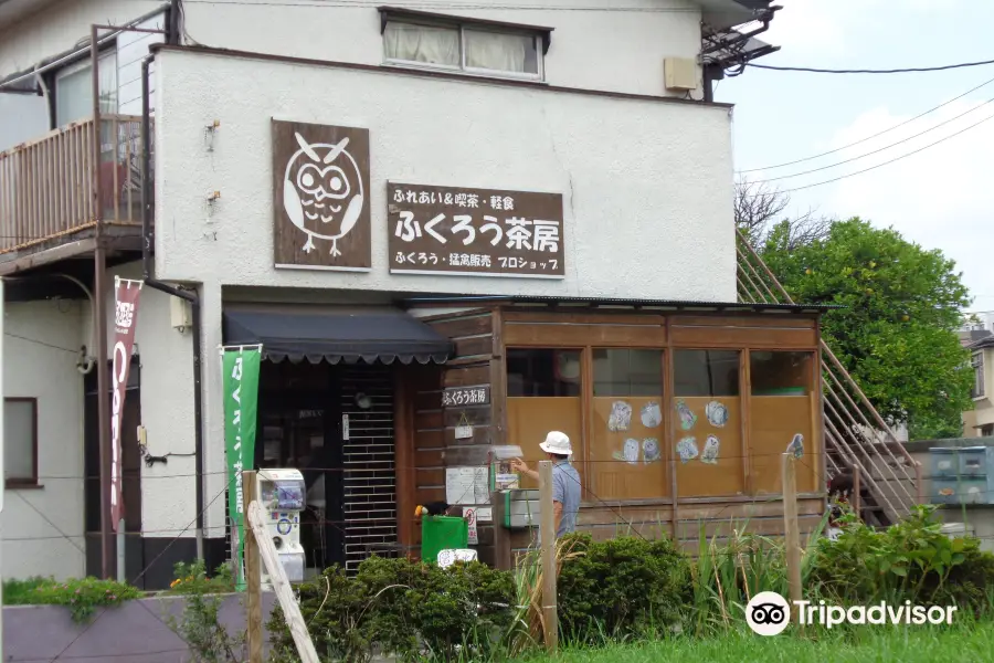 Fukurō Sabō Owl Cafe