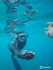 Snorkeling Sao Tome e Principe