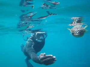 Snorkeling Sao Tome e Principe