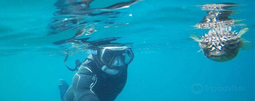Snorkeling Sao Tome e Principe