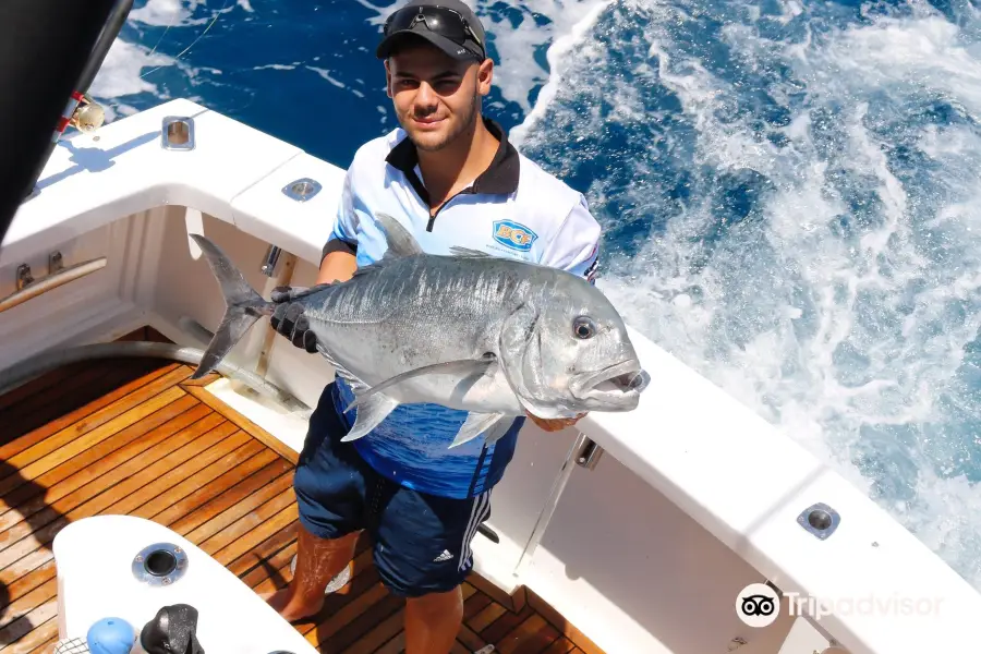 Sea Fever Sportfishing Whitsundays