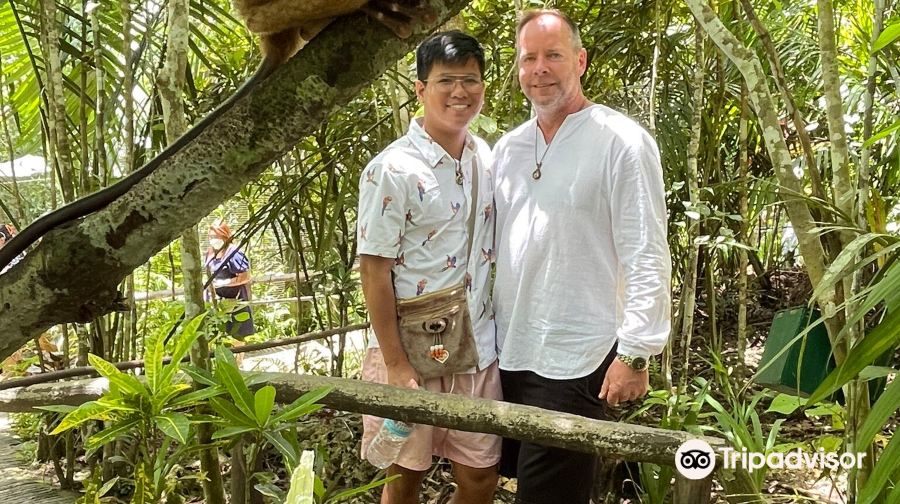 薄荷島：巧克力山+羅博河+眼鏡猴+巴卡容教堂+人工森林一日遊